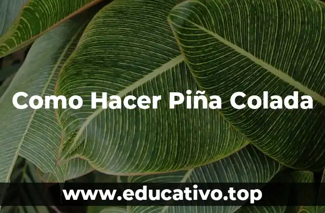 Como Hacer Piña Colada