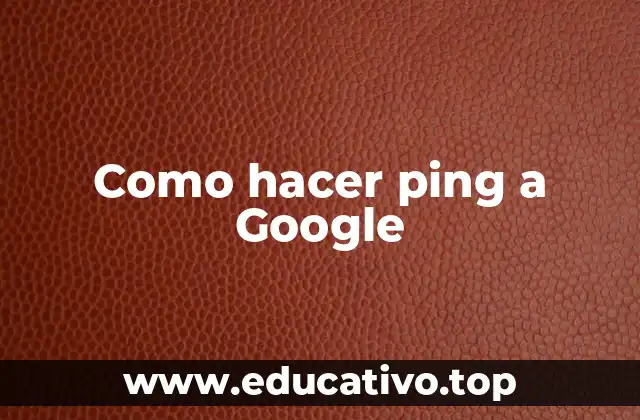 Como hacer ping a Google