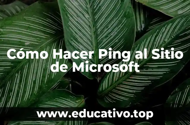Cómo Hacer Ping al Sitio de Microsoft