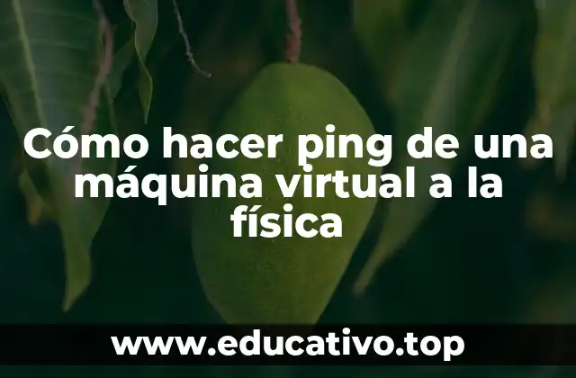 Cómo hacer ping de una máquina virtual a la física