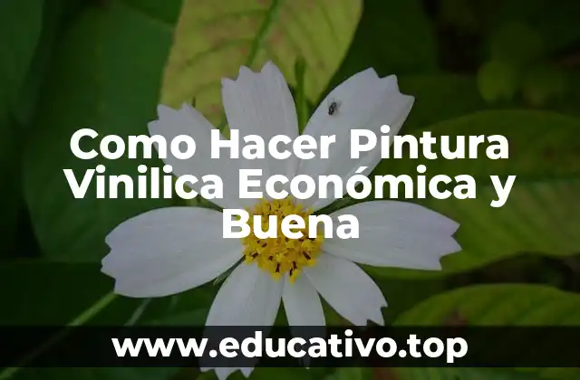 Como Hacer Pintura Vinilica Económica y Buena