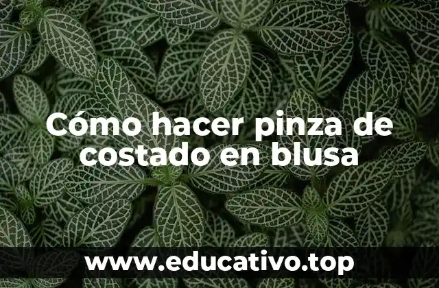 Cómo hacer pinza de costado en blusa