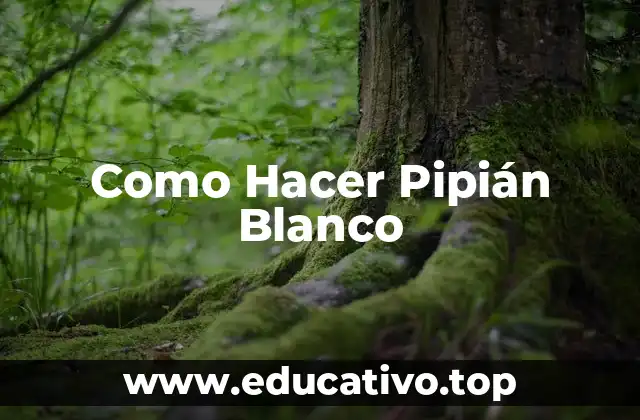 Como Hacer Pipián Blanco
