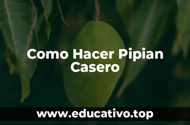 Como Hacer Pipian Casero