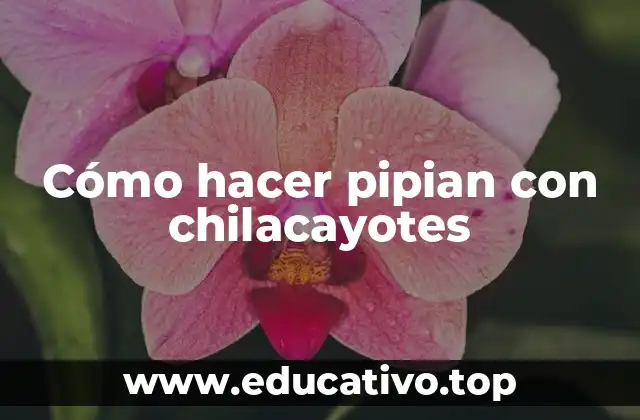 Cómo hacer pipian con chilacayotes