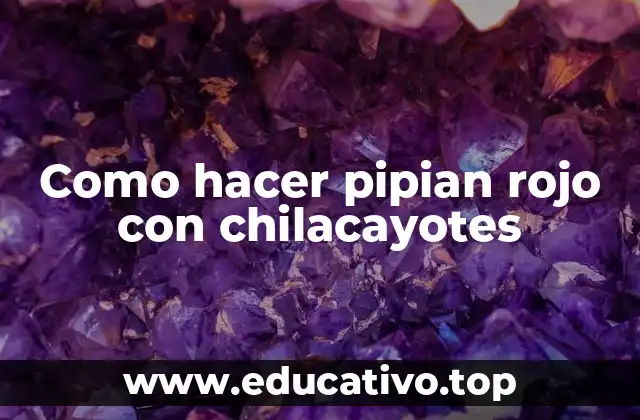 Como hacer pipian rojo con chilacayotes