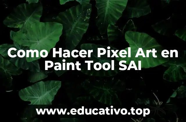 Como Hacer Pixel Art en Paint Tool SAI
