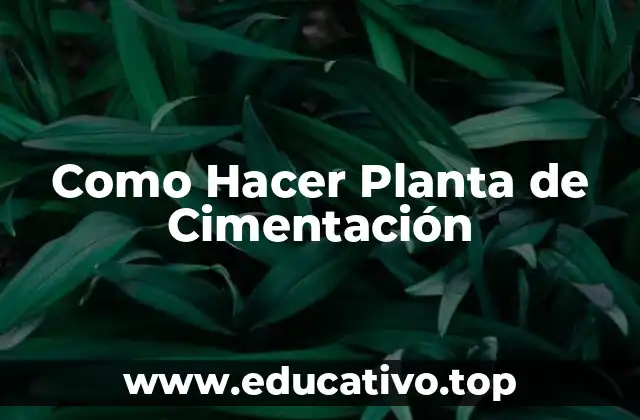 Como Hacer Planta de Cimentación
