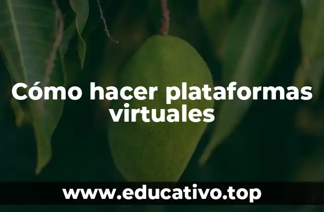 Cómo hacer plataformas virtuales