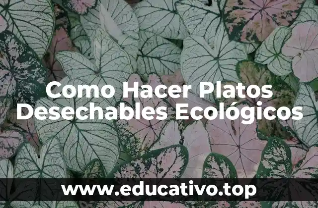 Como Hacer Platos Desechables Ecológicos