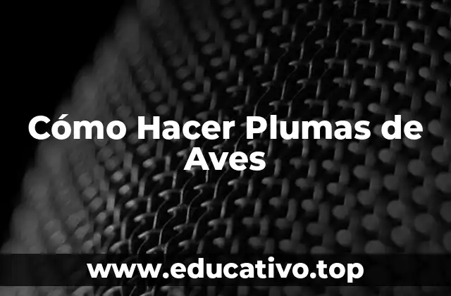 Cómo Hacer Plumas de Aves