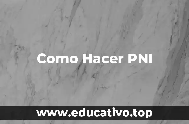 Como Hacer PNI
