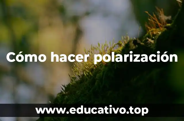 Cómo hacer polarización
