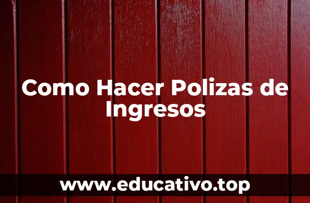 Como Hacer Polizas de Ingresos