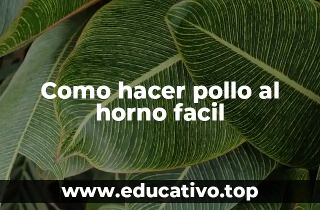 Como hacer pollo al horno facil