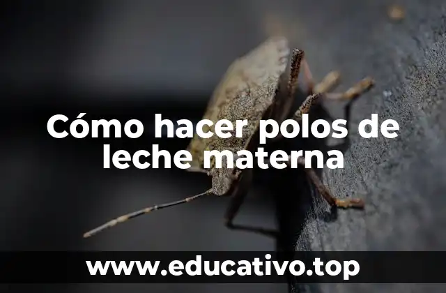 Cómo hacer polos de leche materna