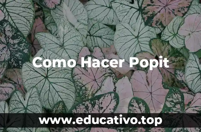 Como Hacer Popit