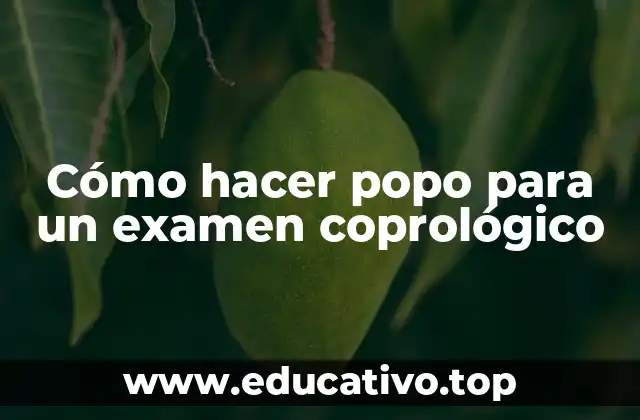 Cómo hacer popo para un examen coprológico