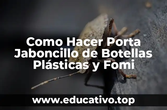 Como Hacer Porta Jaboncillo de Botellas Plásticas y Fomi
