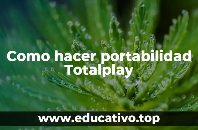 Como hacer portabilidad Totalplay