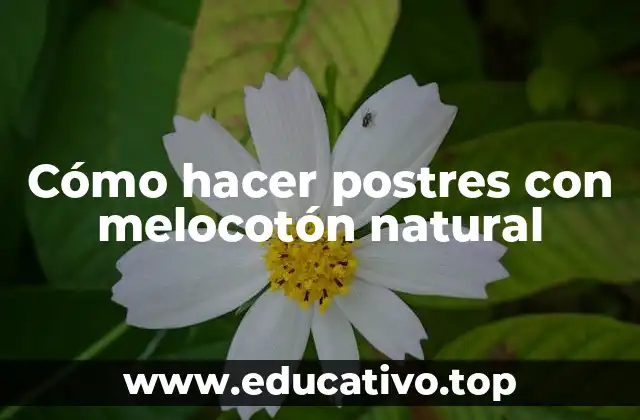 Cómo hacer postres con melocotón natural