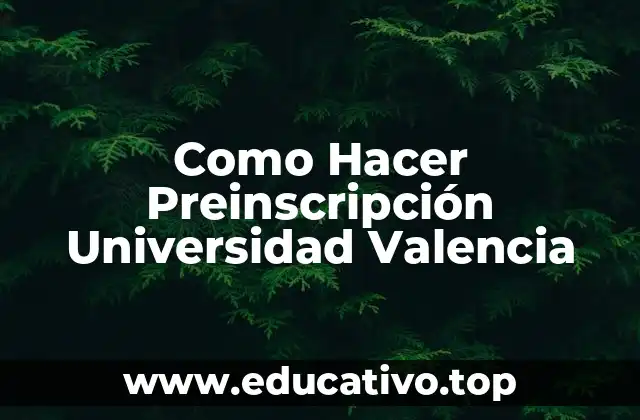 Como Hacer Preinscripción Universidad Valencia