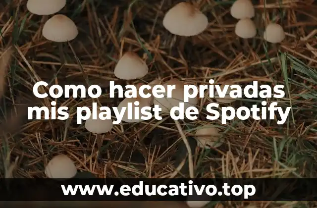 Como hacer privadas mis playlist de Spotify