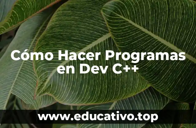 Cómo Hacer Programas en Dev C++