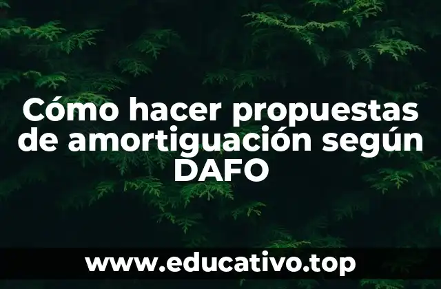 Cómo hacer propuestas de amortiguación según DAFO