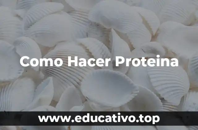 Como Hacer Proteina