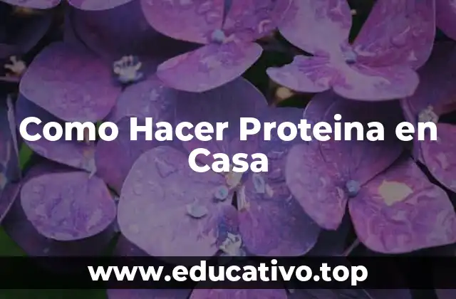 Como Hacer Proteina en Casa