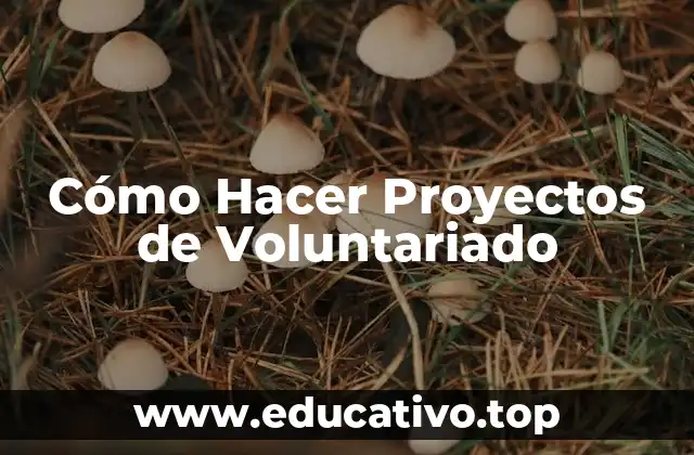 Cómo Hacer Proyectos de Voluntariado