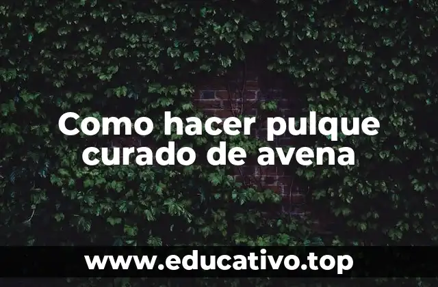 Como hacer pulque curado de avena