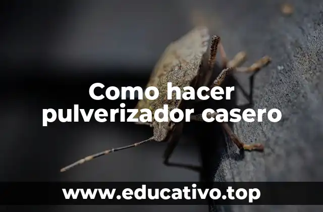 Como hacer pulverizador casero