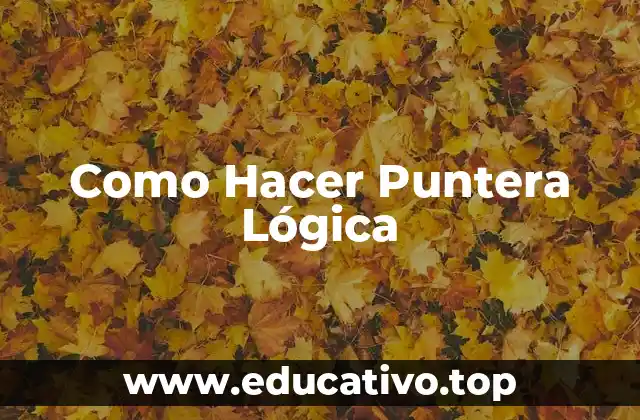 Como Hacer Puntera Lógica