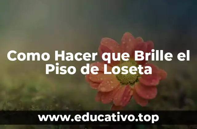 Como Hacer que Brille el Piso de Loseta