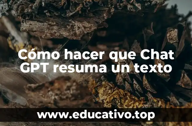 Cómo hacer que Chat GPT resuma un texto