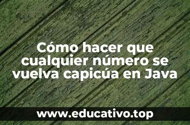 Cómo hacer que cualquier número se vuelva capicúa en Java