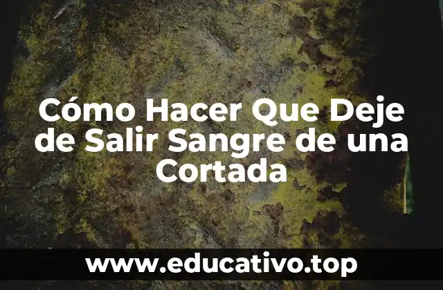 Cómo Hacer Que Deje de Salir Sangre de una Cortada
