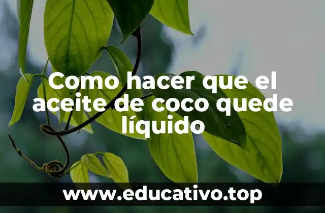 Como hacer que el aceite de coco quede líquido