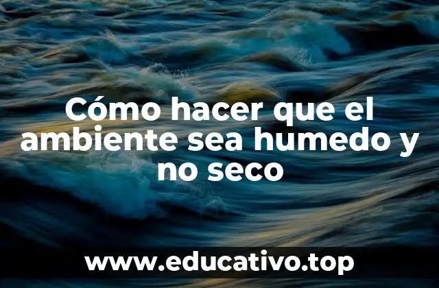 Cómo hacer que el ambiente sea humedo y no seco