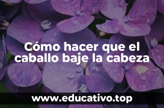 Cómo hacer que el caballo baje la cabeza