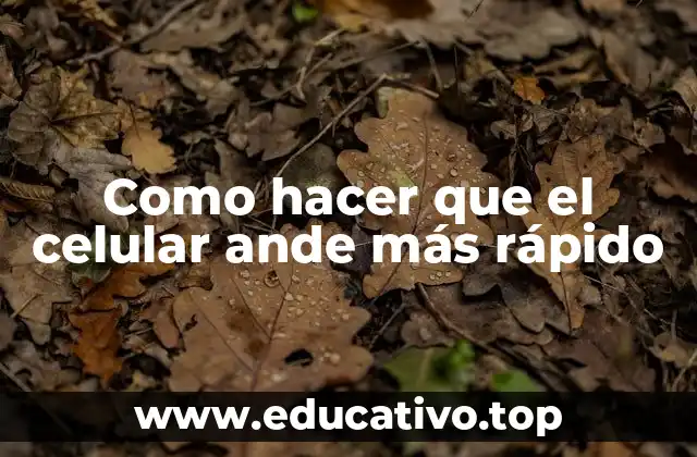 Como hacer que el celular ande más rápido