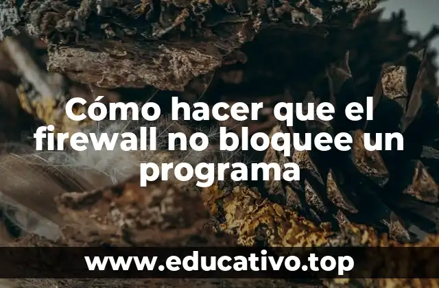Cómo hacer que el firewall no bloquee un programa