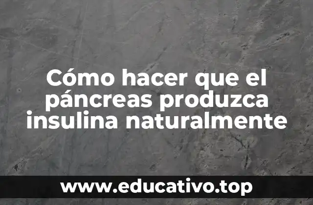 Cómo hacer que el páncreas produzca insulina naturalmente
