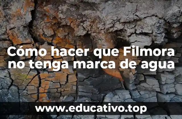 Cómo hacer que Filmora no tenga marca de agua