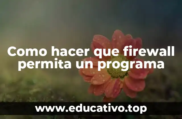 Como hacer que firewall permita un programa