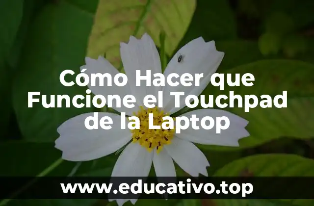 Cómo Hacer que Funcione el Touchpad de la Laptop