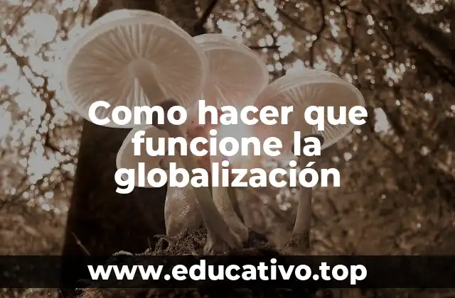 Como hacer que funcione la globalización