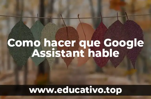 Como hacer que Google Assistant hable
